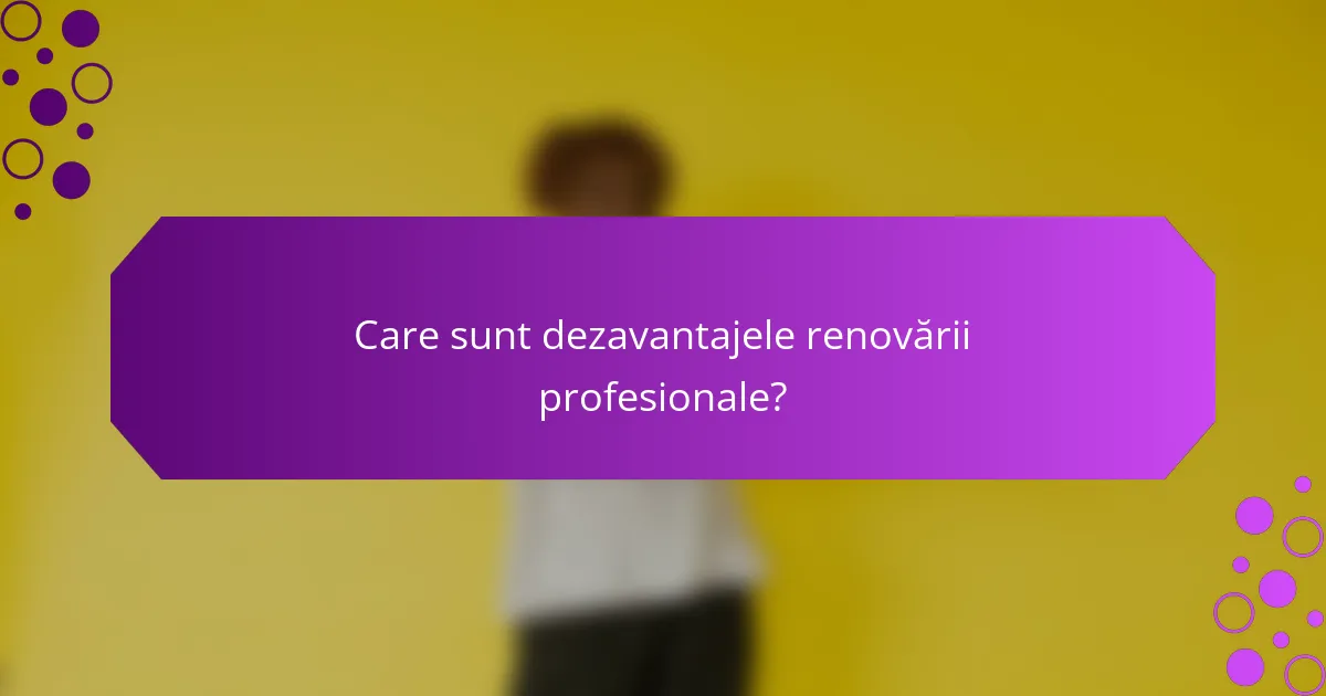 Care sunt dezavantajele renovării profesionale?