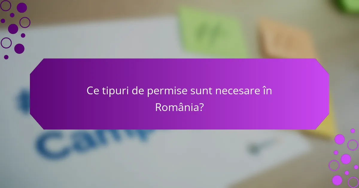 Ce tipuri de permise sunt necesare în România?