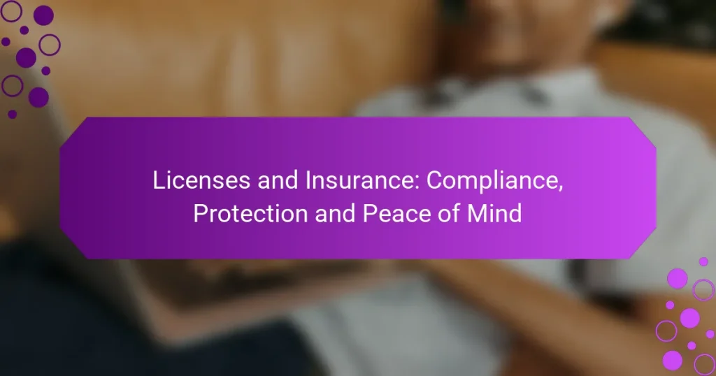 Licențe și Asigurări: Conformitate, Protecție și Liniște Mentală