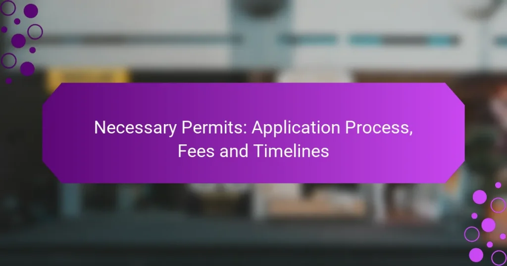 Permise Necesare: Procesul de Aplicare, Taxe și Termene